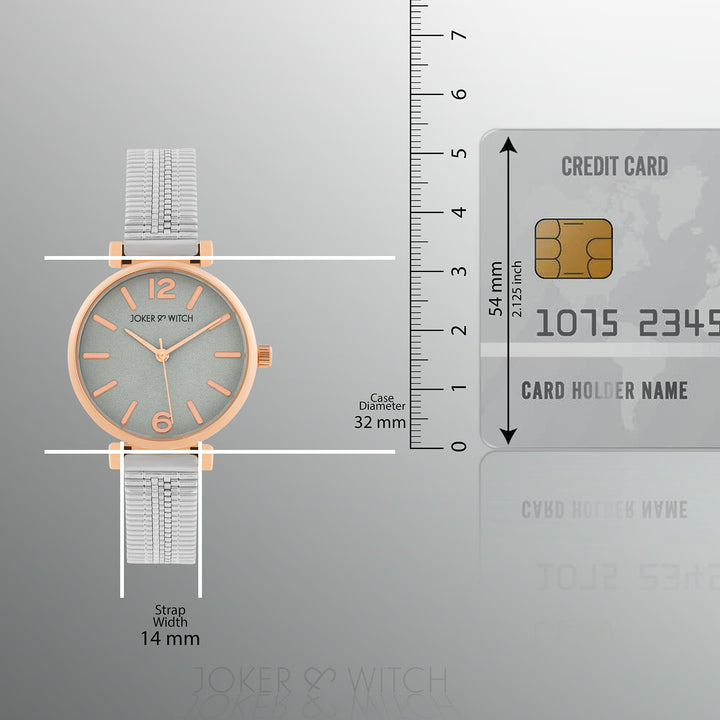 Demi Grey Medium Dial Silver Mesh Strap Women's Watch