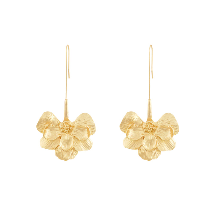 Calanthe Gold Earrings