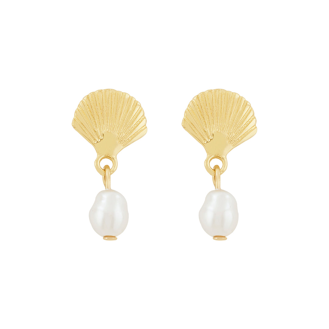 Zuma Seashell Gold Earrings
