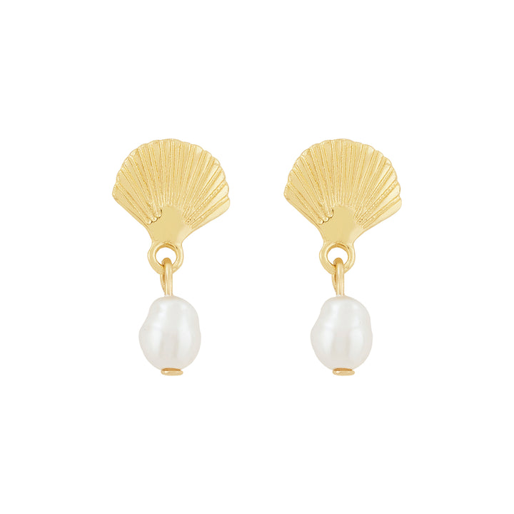 Zuma Seashell Gold Earrings
