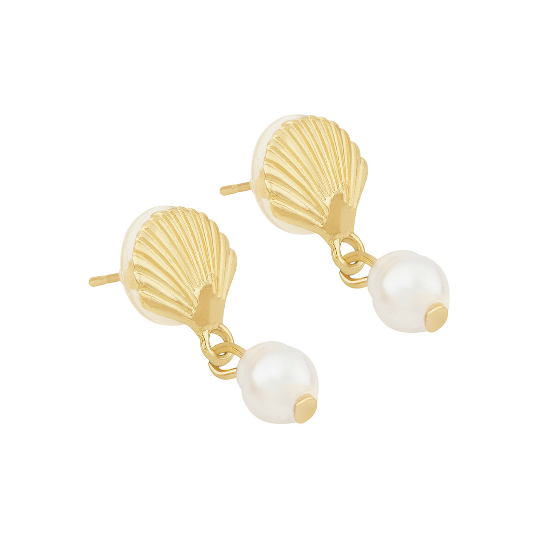 Zuma Seashell Gold Earrings