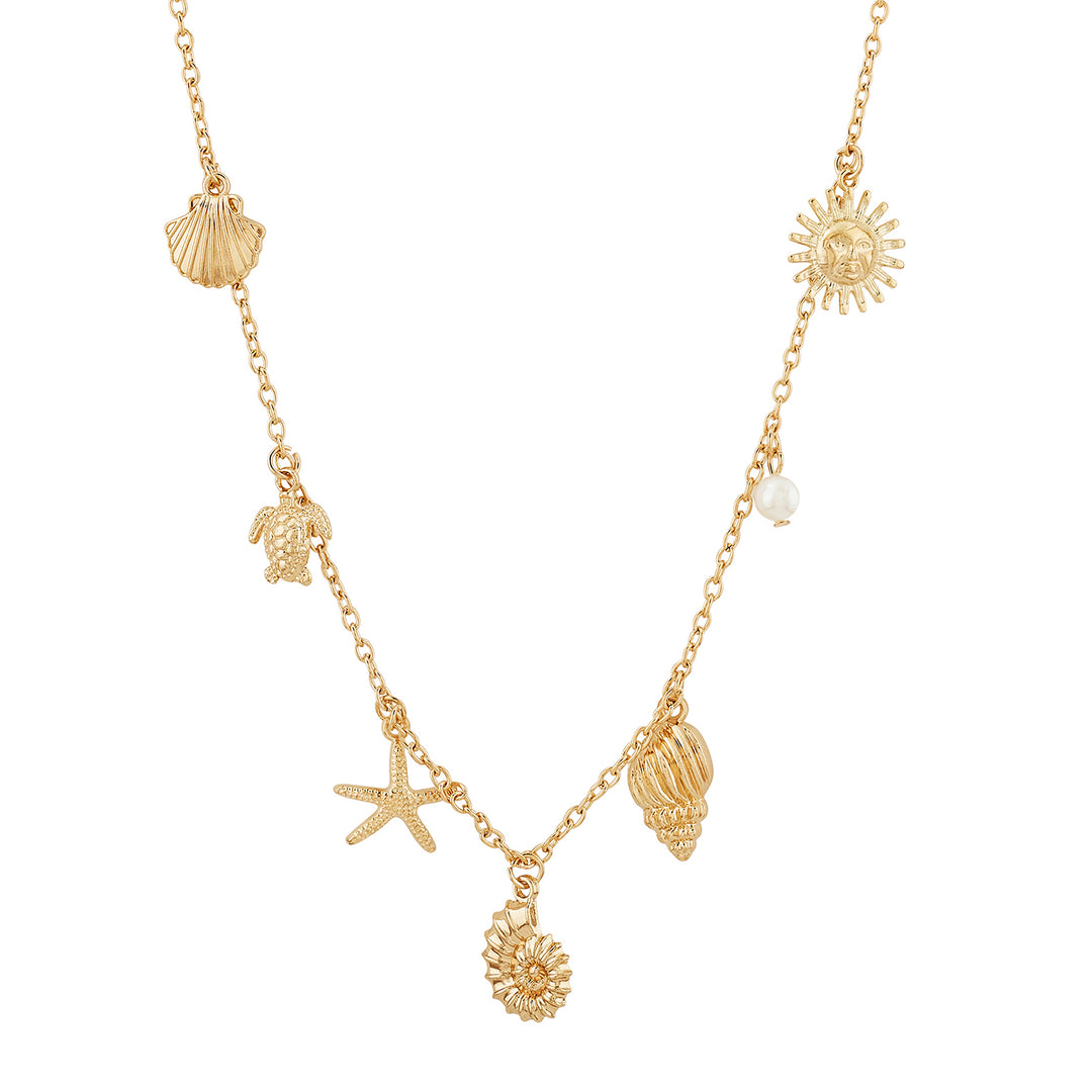 Aveline Gold Seashells Waist Chain
