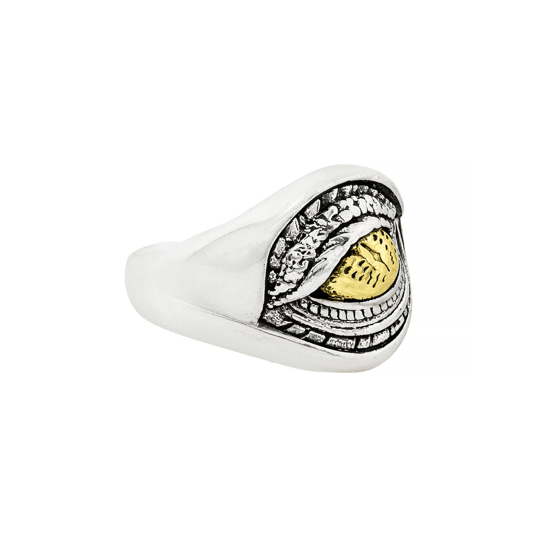 Valtrix Silver & Gold Men's Ring