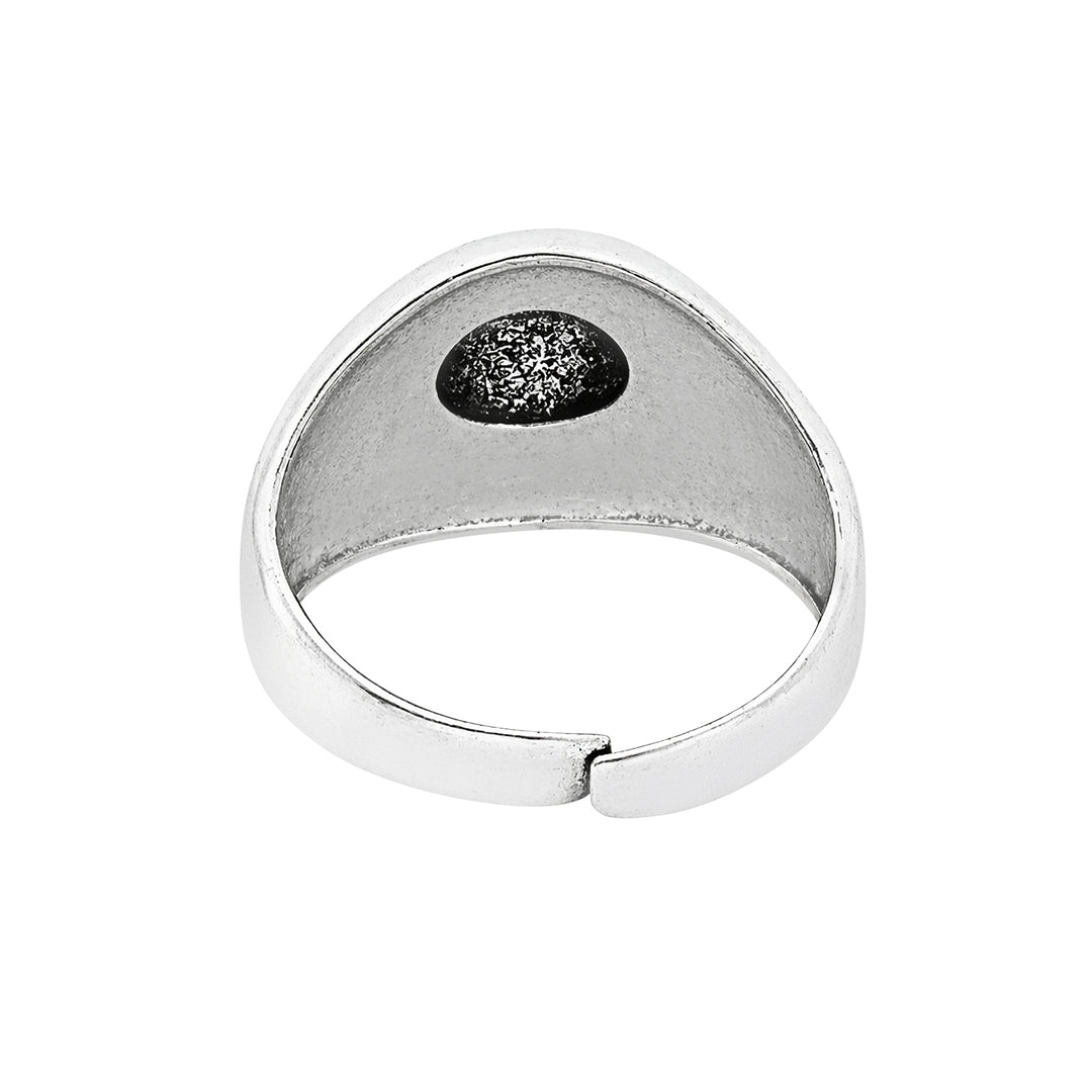 Valtrix Silver & Gold Men's Ring