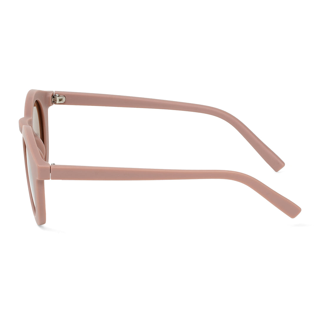 Dion Brown Clubmaster Sunglasses
