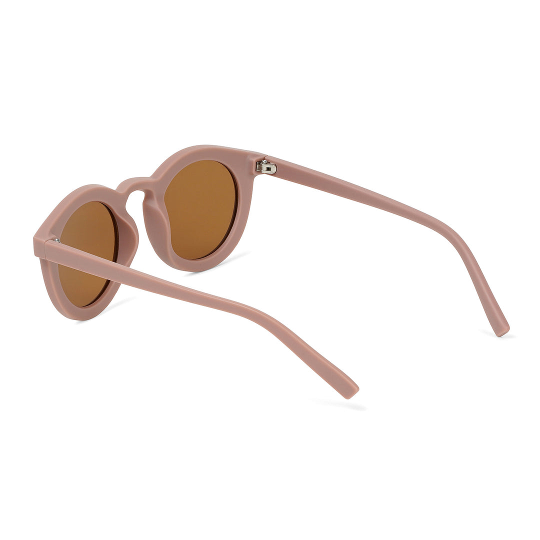 Dion Brown Clubmaster Sunglasses
