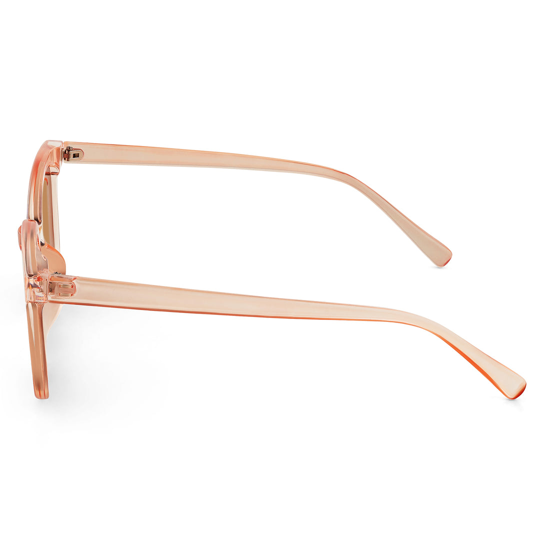 Rei Pink and Brown Wayfarer Sunglasses