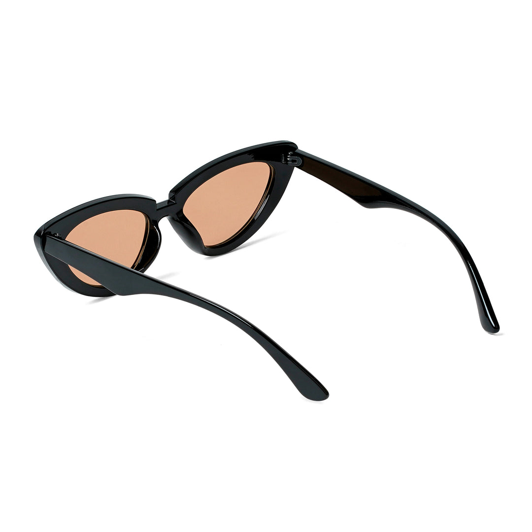 Wintour Cat Eye Black & Brown Sunglasses