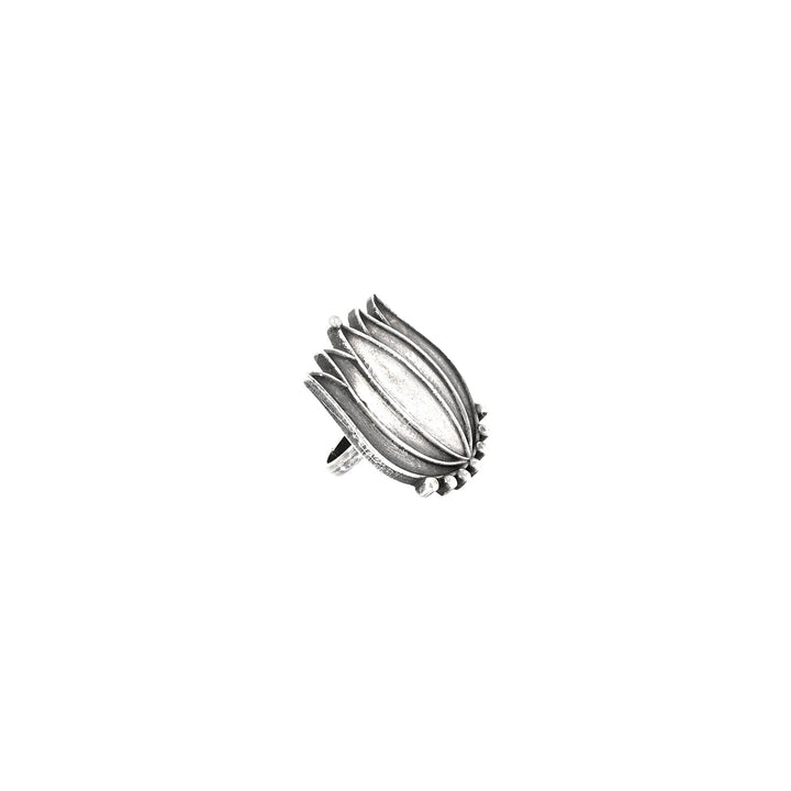 Teejh Aagha Silver Oxidised Ring
